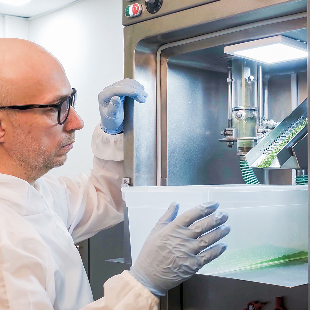 THC oil Encapsulator for the production of thc oil capsules, encapsulating thc oil. THC capsules products from oils, vaping pens, edibles, gummies and more.